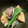 ひろふみくん's cooksnap of when they made 旬野菜◎！【 たけのこの土佐煮風 】.