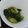 りんごAME's cooksnap of when they made 簡単！うまい！チンゲン菜のおひたし！.
