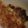kkll0000's cooksnap of when they made 大阪名物！キャベツ焼♪.