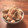 ふわり23's cooksnap of when they made 鮭とごぼうとマイタケの炊き込みゴハン.