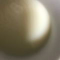 ma___111's cooksnap of when they made ＊簡単ぷるぷるゼラチン紅茶ぷりん＊.