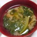わんこたんわんたん's cooksnap of when they made サラダ菜の味噌汁.