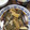 たまご建設's cooksnap of when they made 筍と切り身魚の煮付け.