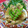 辰夫女子's cooksnap of when they made 筍とイカの、木の芽和え.