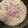 roseclover's cooksnap of when they made コンソメとベーコンの炊き込みごはん.