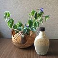 食いしん坊Cocco's cooksnap of when they made 自家製ねりごまで♪ごまドレッシング♪♪.