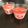 ☆ミハシ☆'s cooksnap of when they made いちごババロア.｡.:*♡.