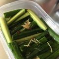 クック8UQZTJ☆'s cooksnap of when they made きゅうり大量消費☆甘酢漬け.