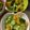 あんず1022's cooksnap of when they made さっぱり甘酢あえ【保育園給食】.