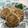 Faiza's cooksnap of when they made ネギとろをリメイク！ハンバーグ.