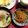 たぁープ〜's cooksnap of when they made 節約♪しっかり味のもやしのナムル.