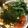 Rayryu123's cooksnap of when they made あぶりトロサーモンといくらの丼.