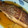 ピクミンちゃん's cooksnap of when they made 天然鯛とごぼうの煮付け.