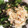 ☆motsu☆'s cooksnap of when they made のらぼう菜の塩こんぶ和え♪.