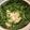ＷａＴヒロコロ's cooksnap of when they made 手軽でヘルシー♪『水菜のポカポカ湯豆腐』.