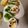 よちりん's cooksnap of when they made ［腸活］アップルヨーグルト＊.