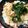 ユーロン's cooksnap of when they made 簡単 鮭と大葉のサッパリ混ぜご飯♪.