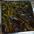 おらんでう～たん's cooksnap of when they made 筍・わらびの灰汁抜き方法.