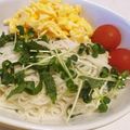 naki1227's cooksnap of when they made ゴーヤと素麺のアレンジ冷やし中華サラダ.
