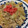 ♪eshara♪'s cooksnap of when they made 簡単味しみやわらか♪豚丼の具.