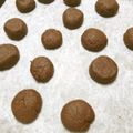 HARURINME's cooksnap of when they made 簡単サクサクスノーボール.