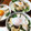 カズ形33's cooksnap of when they made ☆とろ～り卵の蒸し鶏丼☆.