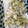 ﾟ｡さくら｡ﾟ's cooksnap of when they made 藤の花の天ぷら（簡単・旨い・話題性）.