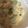 ma___111's cooksnap of when they made カニカマときゅうりのマスタードサラダ♪♪.