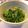 クック船長☆☆'s cooksnap of when they made 豆苗ナムル　フライパンだけ　簡単　節約.