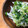 クック949WEK☆'s cooksnap of when they made 簡単✨大根とキャベツと鮭フレークのサラダ.