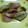 あずさんご's cooksnap of when they made 簡単うまい！牡蠣の味噌バター焼き.