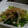 ヨシヨッシー's cooksnap of when they made 給食☆えのきのおひたし.