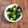 クックL8U9HI☆'s cooksnap of when they made 簡単！作り置きレタスとワカメのポン酢和え.