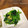 GoGo島みかん's cooksnap of when they made ちびっ子大好き！いんげんのゴマくるみ和え.