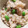 シェフなみく's cooksnap of when they made 塩糀の枝豆ごはん.