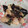 おおくぼゆうか's cooksnap of when they made なす、ササミ、大葉のさっぱり炒め.
