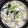 ノーノ's cooksnap of when they made おうちで中華・青梗菜のミルク煮.