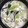 ノーノ's cooksnap of when they made おうちで中華・青梗菜のミルク煮.