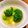 初心者はっちー's cooksnap of when they made 冷凍ブロッコリーの中華ごま和え.