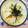 おうちゃん母さん's cooksnap of when they made たけのこと人参の炊き込みご飯.