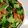 クック75J0LW☆'s cooksnap of when they made 栄養満点♫サーモンサラダ.