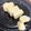 さっくん's cooksnap of when they made 千年に一度のブーム！30 分で【蘇】！！.