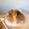 遥か遠くにいくはるか's cooksnap of when they made りんご酵母でふんわりパン.