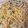 のーべるわんこ's cooksnap of when they made ＊ネギとしらすのパスタ＊.
