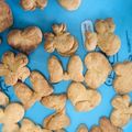 YuzReimama's cooksnap of when they made 中力粉で簡単クッキー(薄力粉も可).