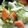クックVBBJEY☆'s cooksnap of when they made コロコロ野菜の塩麹浅漬け.