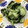 riomaru3's cooksnap of when they made きゅうりと乾燥ワカメの酢の物.