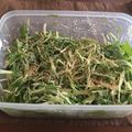 まさたかまま's cooksnap of when they made もやしと水菜の胡麻サラダ.