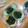 はにわん、's cooksnap of when they made お弁当用に冷凍保存☆ほうれん草のおひたし.
