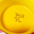 マメ子0701's cooksnap of when they made 炊飯器で♪かぼちゃのポタージュ.